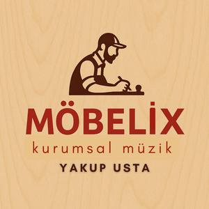 Türkiye'nin Markası Möbelix