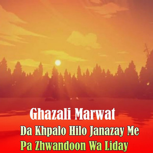 Da Khpalo Hilo Janazay Me Pa Zhwandoon Wa Liday