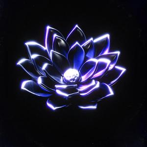 Miss My Flight (feat. Def Kult)