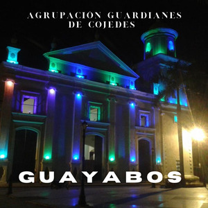 Guayabos