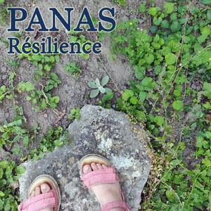 Résilience