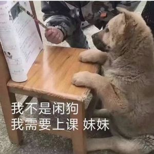 直球freestyle（PRODBYGOAT CREW）