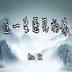 这一生遇见的你