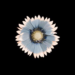 Solstice (feat. Breymer)