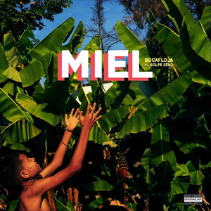 Miel (feat. Golpe Seko)