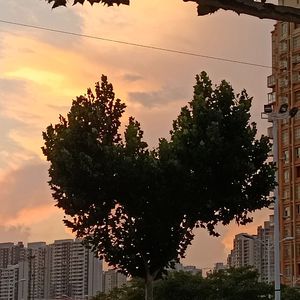 九字真言·失恋破产版