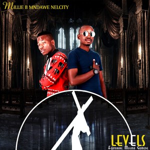 Level's