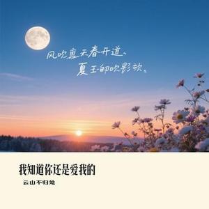 我知道你还是爱我的 (云山不归处 Remix)