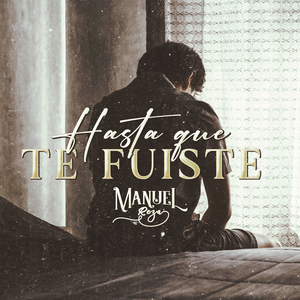 Hasta Que Te Fuiste