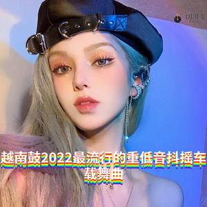 DJ国飞-越南鼓2022最流行的重低音抖摇车载舞曲（DJ国飞 remix）