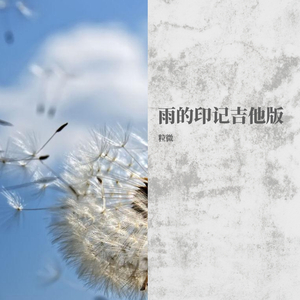 雨的印记 旅行吉他（翻自 Bandari）