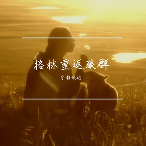 草原上的红腰带