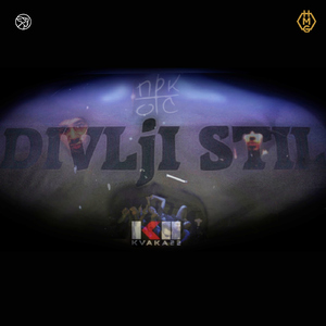 Divlji stil