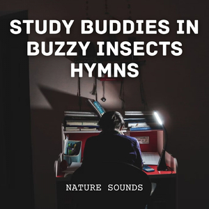 Collaborative Rhythms for Studious Minds