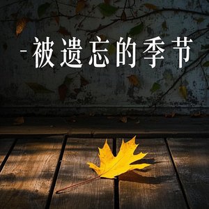 被遗忘的季节