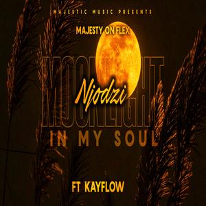 Njodzi (feat. Kayflow)