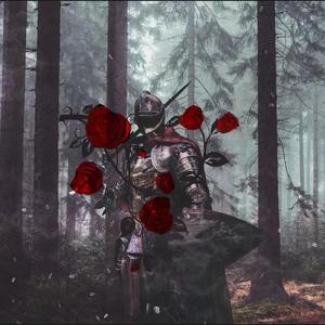 玫瑰骑士（Prod.DayOne）