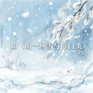 盼（盼一场雪与你白头）