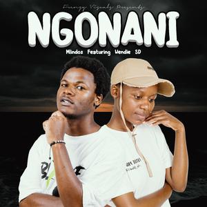 Ngonani (feat. Wendie SD)