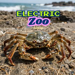 Electric Zoo
