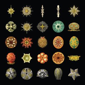 Fertiliser / Horticulture / Mower