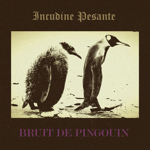 Bruit de pingouin, stage 2