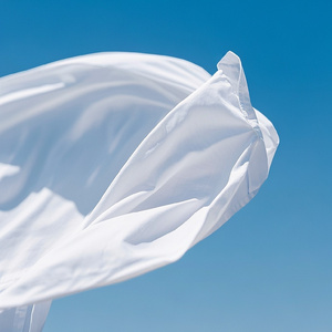 白いシャツ (Acoustic)