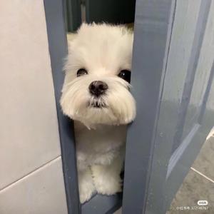 录音文件20220305033101