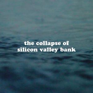 the collapse of silicon valley bank