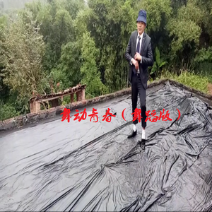 舞动青春（舞蹈版）