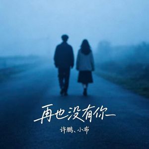 再也没有你