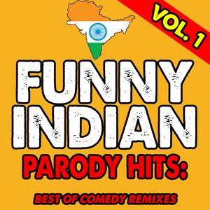 Senorita (Funny Indian Remix)