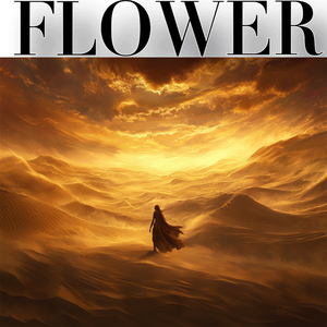 The Long Shadow of the Sun 日影的漫长