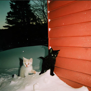 蔷薇（Gr33nart beats）