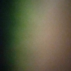 Elegy I