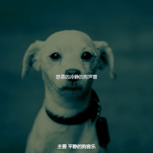 安静的放松的狗声音