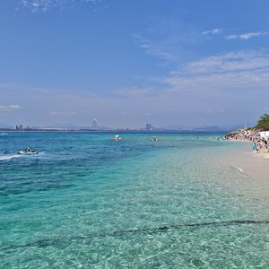 salaam,鸽子飞过边境线