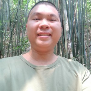 对话的旋律(ai男声)