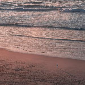 舒伯特小夜曲 (大提琴纯音乐)