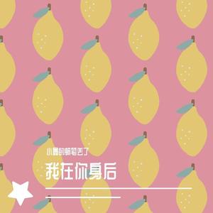 我在你身后（翻自 李飘I飘）