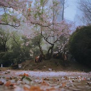 落花风雨