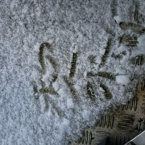 蝴蝶飞了一整天