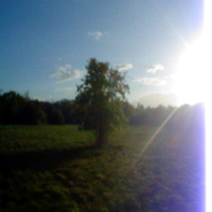 2007