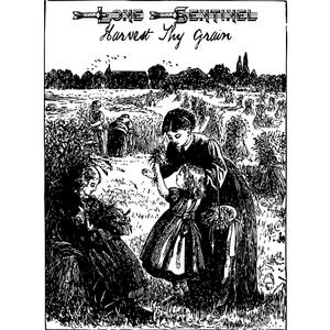 I Wish to Leave this Mortal Life and Ascend to Live Amongst the Stars