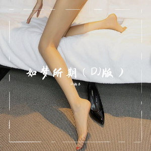 如梦所期（DJ版）