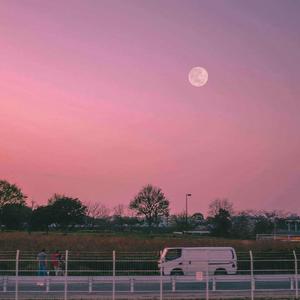 这个夏天没有你