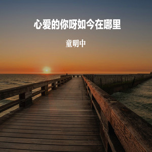 心爱的你呀如今在哪里