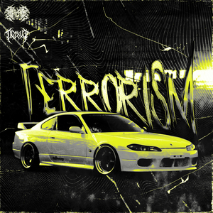 TERRORISM
