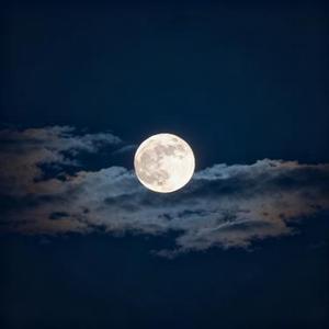 自己 (Cover 黄伊汶)