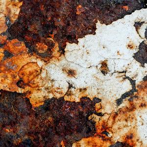 While Reading Le Bakchich